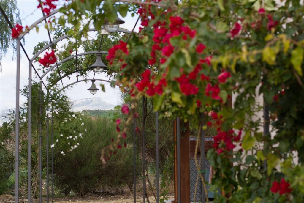 Agriturismo Baglio Donna Santa Dattilo Exteriör bild